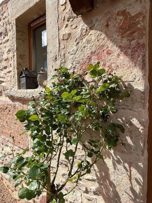 Le Tinailler Grand Standing Au Coeur Des Vignes Villa Prissé Dış mekan fotoğraf